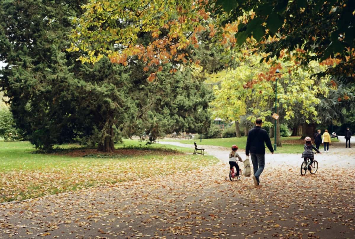 Allée de parc jonchée de feuilles mortes, un adulte marche avec deux enfants à vélo sous de grands arbres encore verts