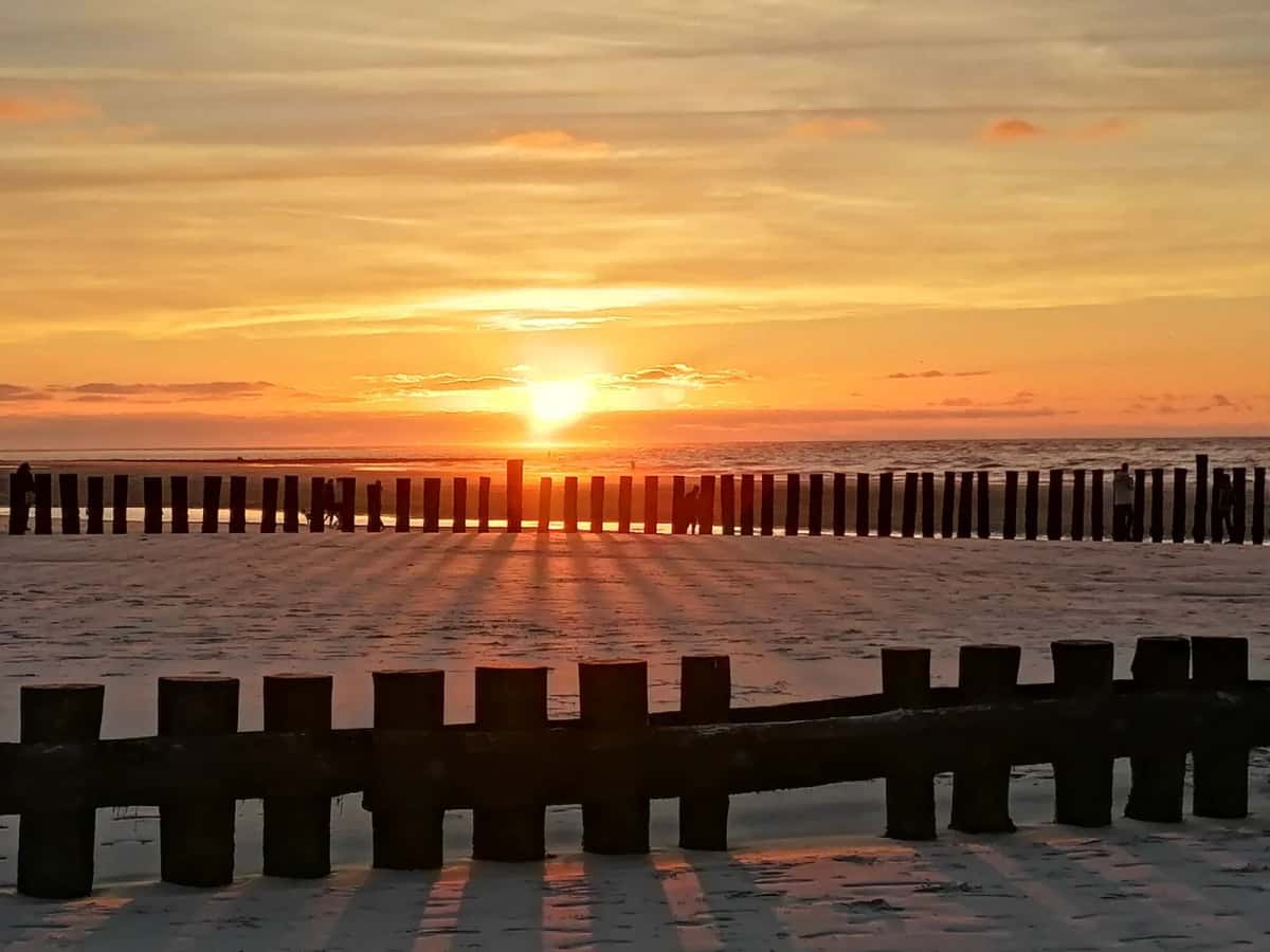 Alignement de pieux de brise-lames en bois sortant du sable, face au soleil couchant sur une mer plate