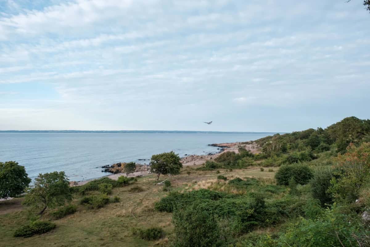 Côte rocheuse de la Baltique, lande et arbres bas dominant une plage de galets rosés, mer plate sous un ciel voilé