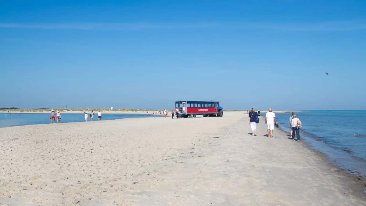 La flèche de sable de Grenen s'avançant dans la mer, des promeneurs marchant vers la pointe et la remorque rouge du Sandormen arrêtée sur la plage