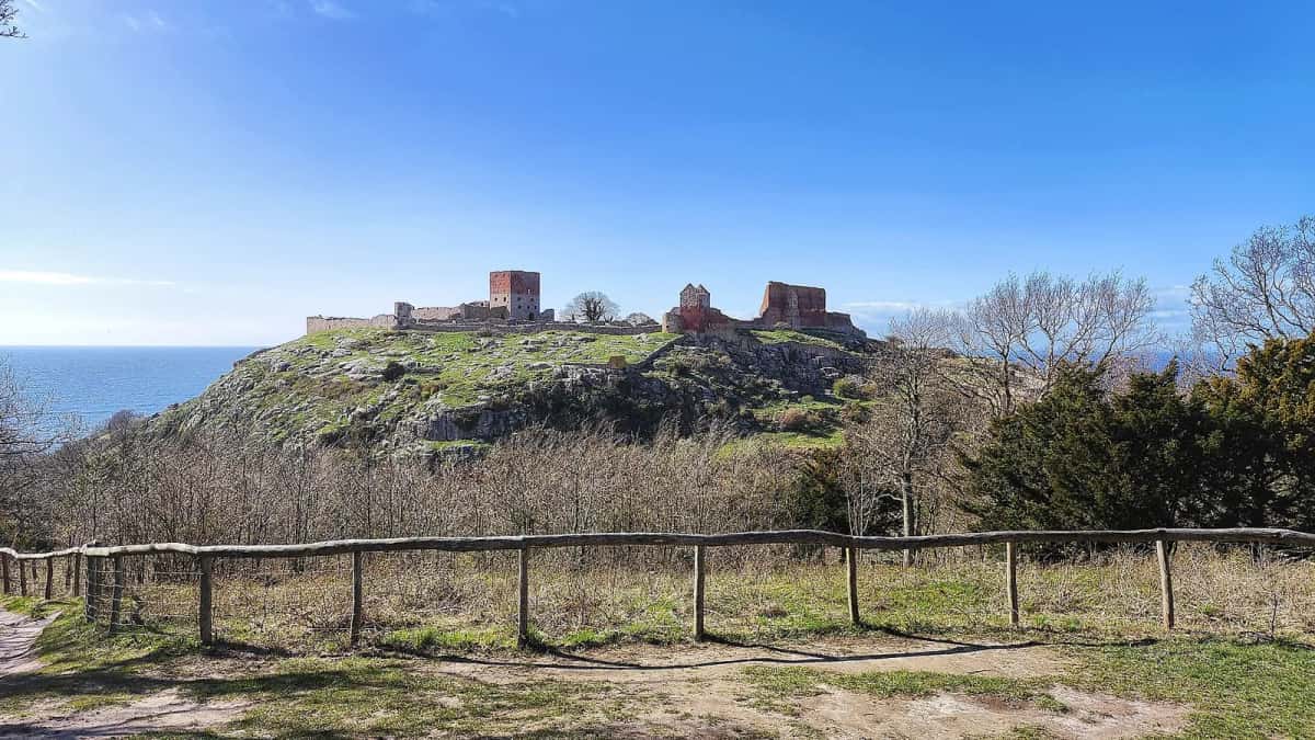 Les ruines de Hammershus sur leur colline herbeuse dominant la Baltique, sous un ciel dégagé