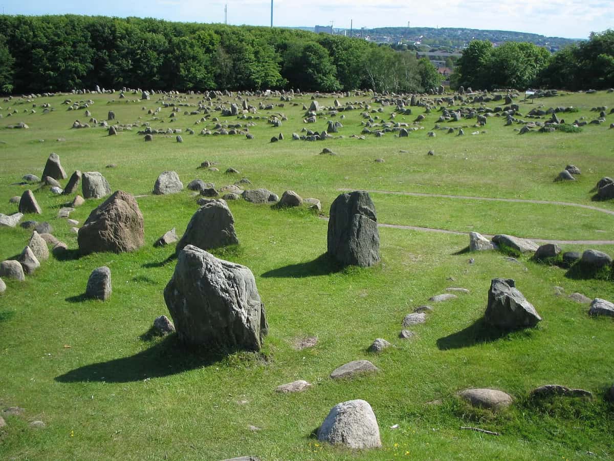 Le champ de pierres dressées de Lindholm Høje, disposées en formes de navires dans l'herbe, avec la ville et le fjord au fond