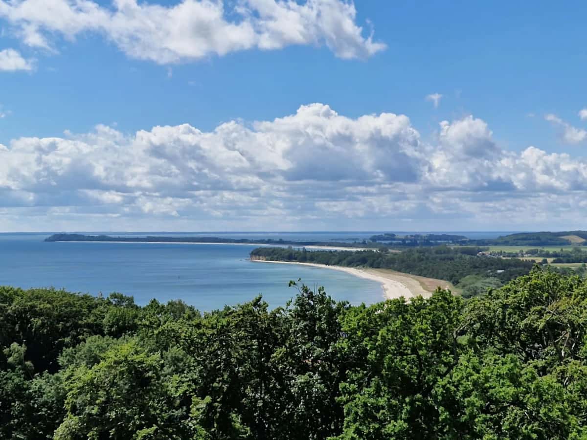 Longue plage de sable dessinant un arc de cercle au fond d'une baie boisée, vue depuis une hauteur