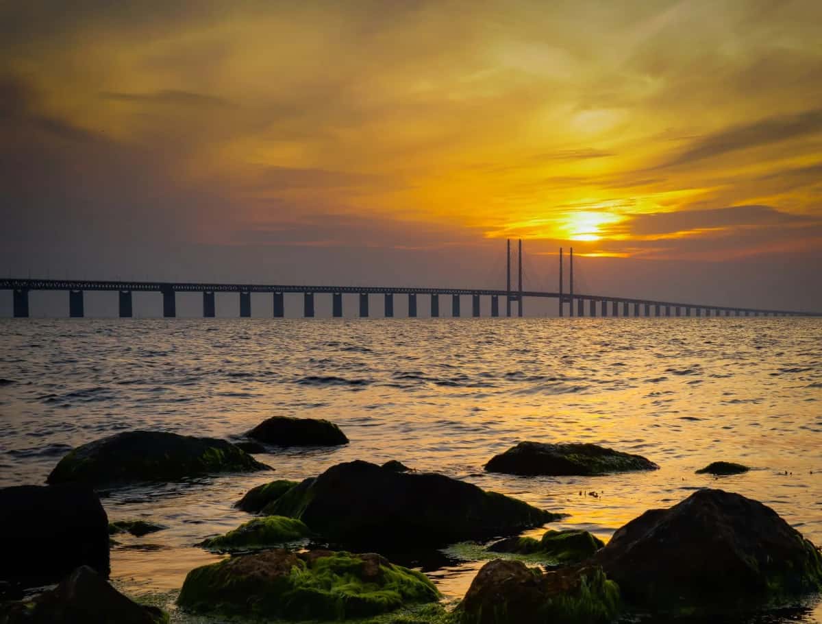 Le pont de l'Oresund et ses pylônes en harpe traversant le détroit au soleil couchant, vus depuis une côte rocheuse