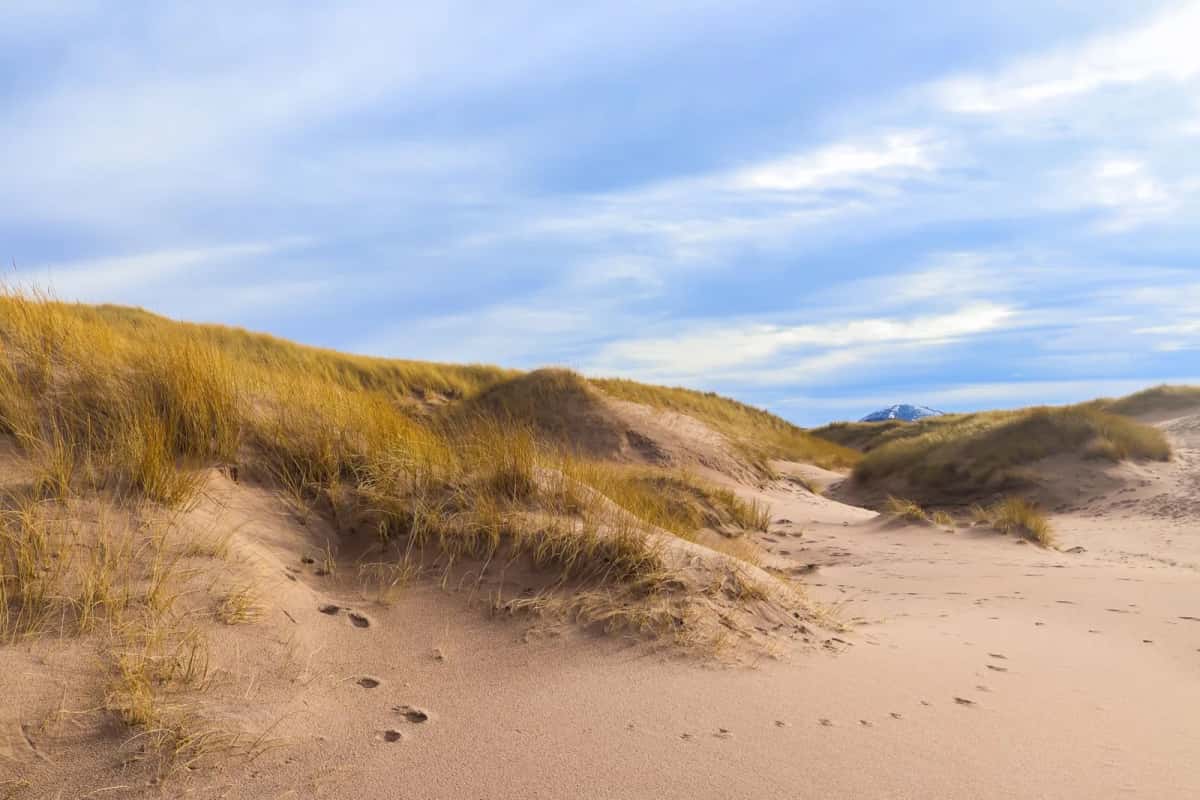 Sentier de sable creusé entre deux dunes couvertes d'oyats, menant vers la mer sous un ciel de traîne