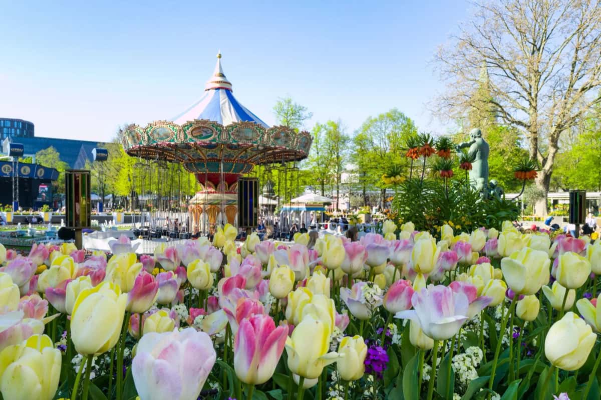 Massif de tulipes roses et jaunes au premier plan, devant le carrousel ancien de Tivoli et son chapiteau bleu et blanc